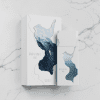 Ravine Ice by French Avenue 100ml - Perfume Xpress