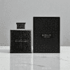 Obsidian by Rayhaan | 100ml Men's Woody Iris Perfume | Perfume Xpress