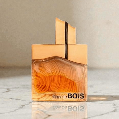 Bois De Bois by Fragrance World | 100ml Men's Woody Perfume | Perfume Xpress