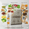Rayhaan Terra | Travel Decant Samples | Perfume Xpress