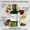 Oud Mustang by Paris2Dubai | Travel Decant Samples | Perfume Xpress